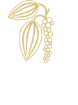 Castle-Bayview-Logo-Peppercorn-Restaurant-Reversed-500px Castle-Bayview-Logo-Peppercorn-Restaurant-Reversed-500px